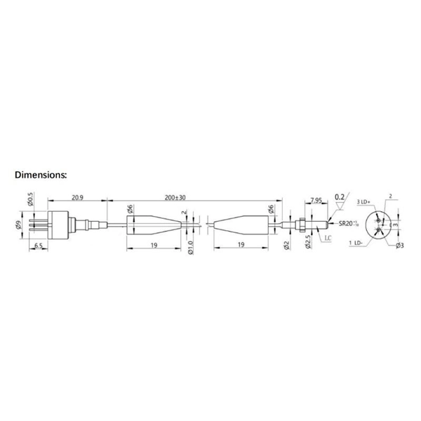 Core Switch Implements Dual Core