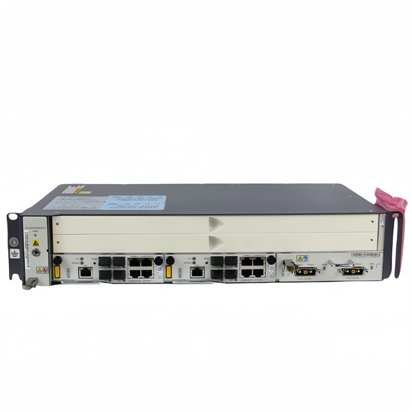 Switch with Dual WAN Access