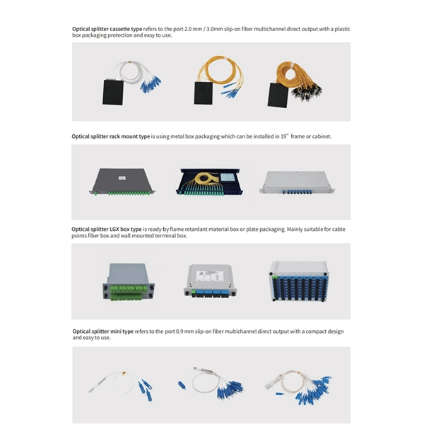 Multi-bandwidth access fiber optic switch