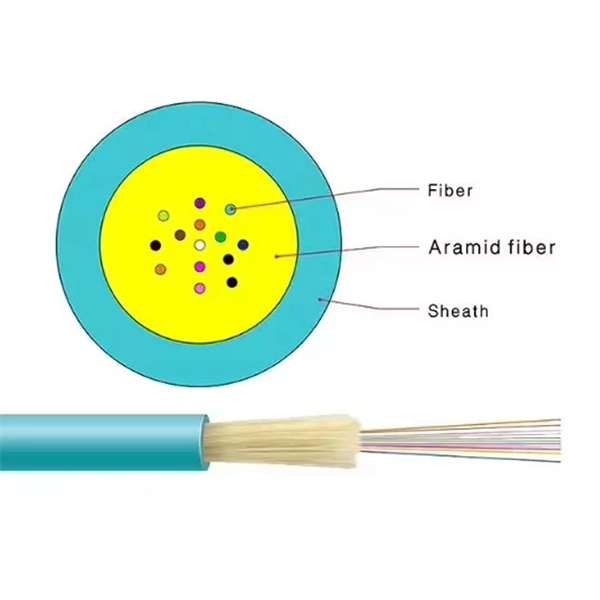 What is the PD inside the optical module 