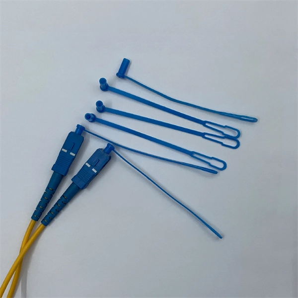 Where to plug the optical module receiver 