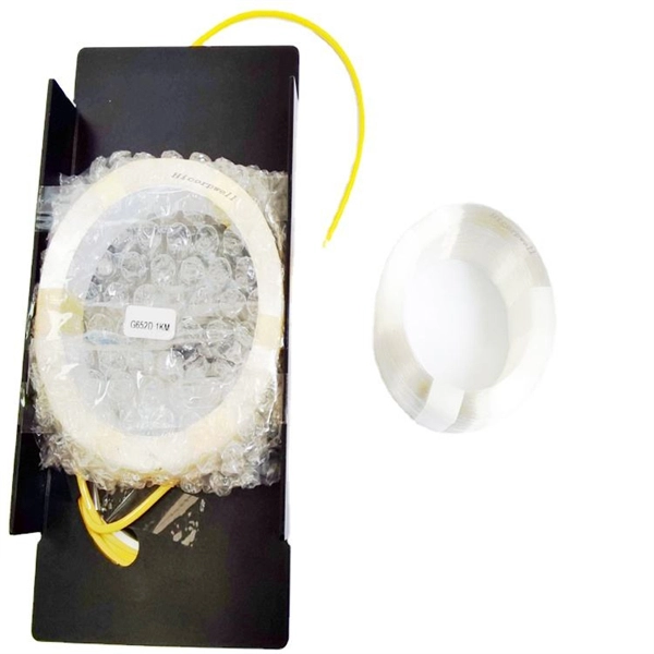 Router fiber optic interfaces are prone to breakage